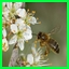 http://img84.xooimage.com/files/2/1/7/mouw-3318986.jpg